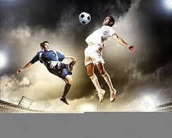 到了比利时 到了比利时