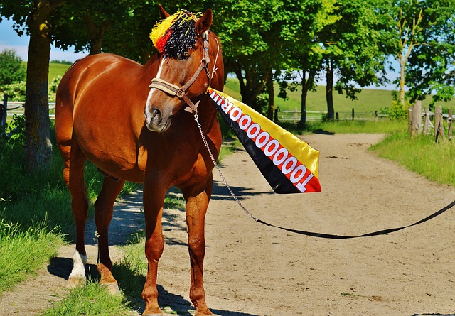 件虽然引发 件虽然引发