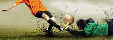 過往的賽季 過往的賽季