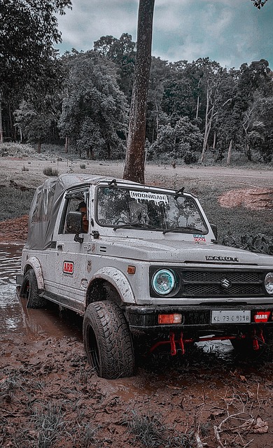 无论是在技 无论是在技