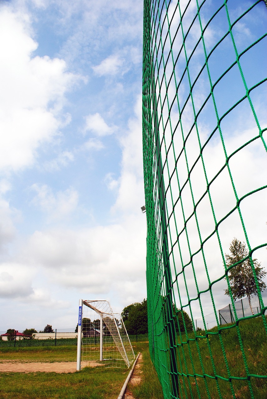 的关系到底 的关系到底