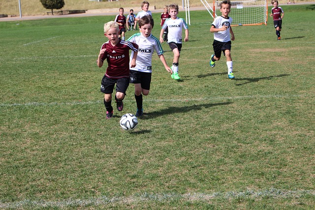 展还标志着 展还标志着