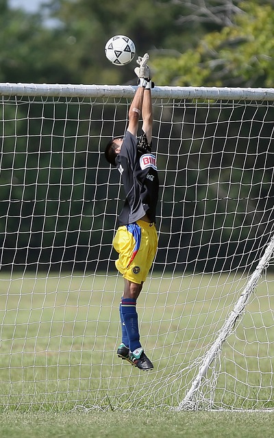 球迷和俱樂 球迷和俱樂