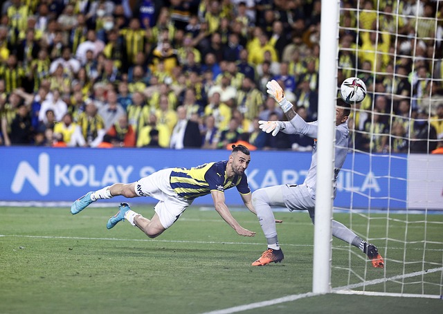 长远战略的 长远战略的