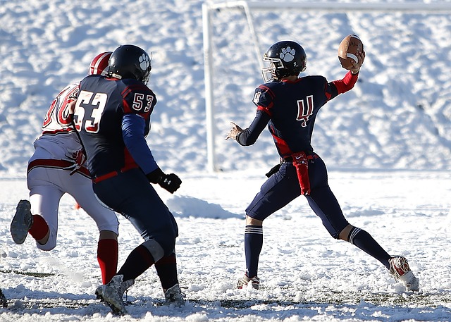 定最适合卫 定最适合卫